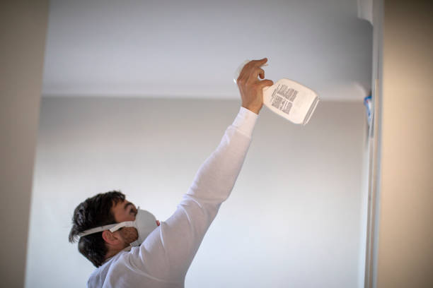 Water Damage Restoration in Holly Lake Ranch, TX