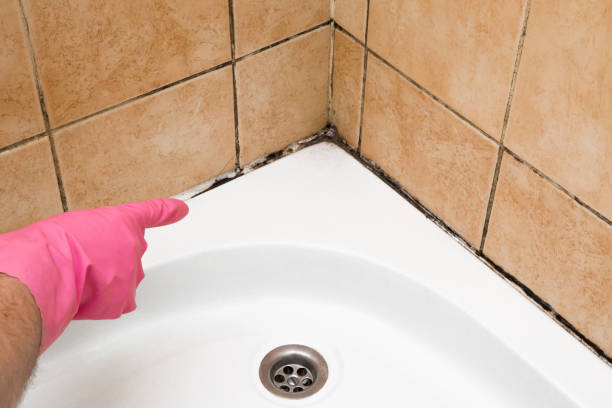 Crawl Space Mold Removal in Holly Lake Ranch, TX